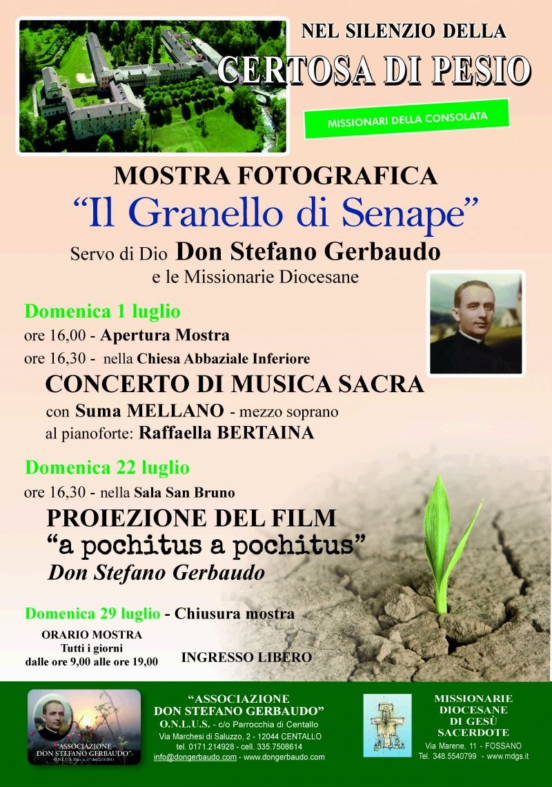 Don Gerbaudo News 19