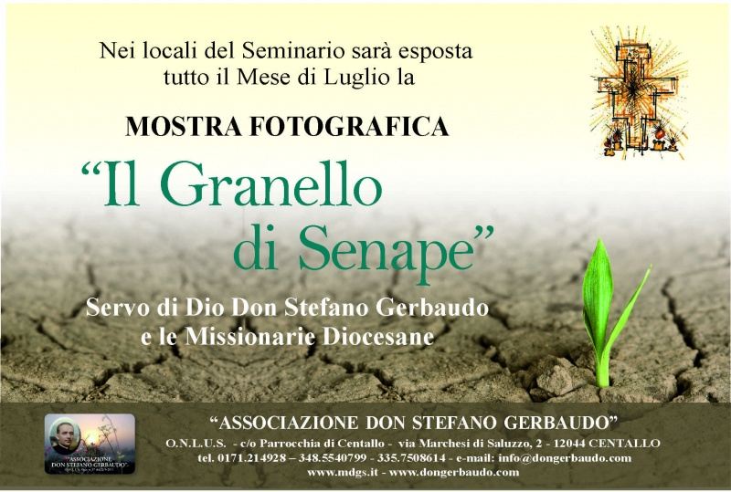 Don Gerbaudo News 28